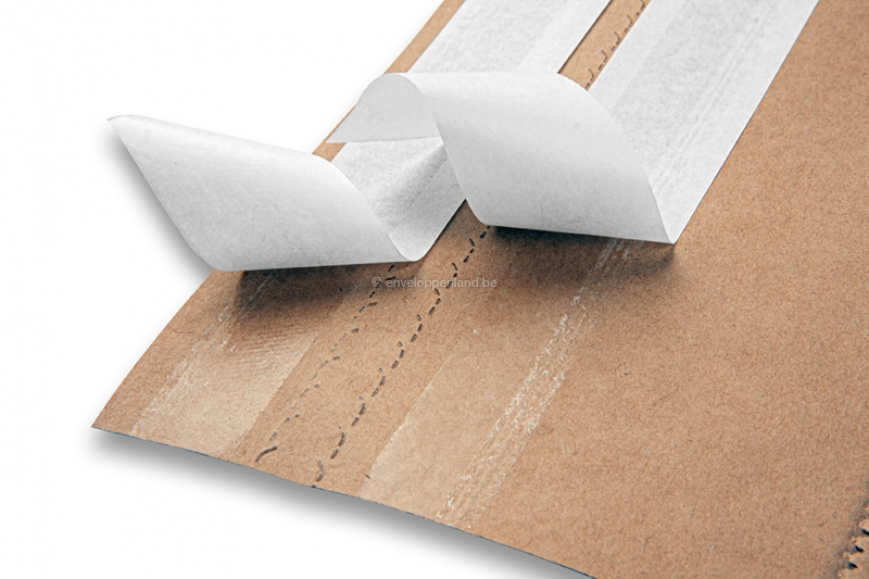Kreet Tragisch publiek Papieren zakken met stripsluiting kopen? | Enveloppenland.be
