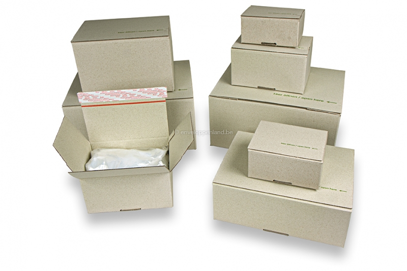Vruchtbaar Wardianzaak pepermunt Kartonnen dozen online bestellen? | Enveloppenland.be