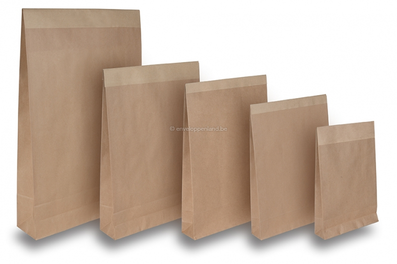 Geladen zegevierend laden Papieren zakken met stripsluiting kopen? | Enveloppenland.be